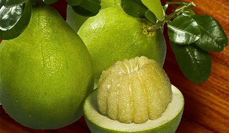 Bỏ túi bí quyết kiểm tra số múi bưởi mà không cần bổ cả quả