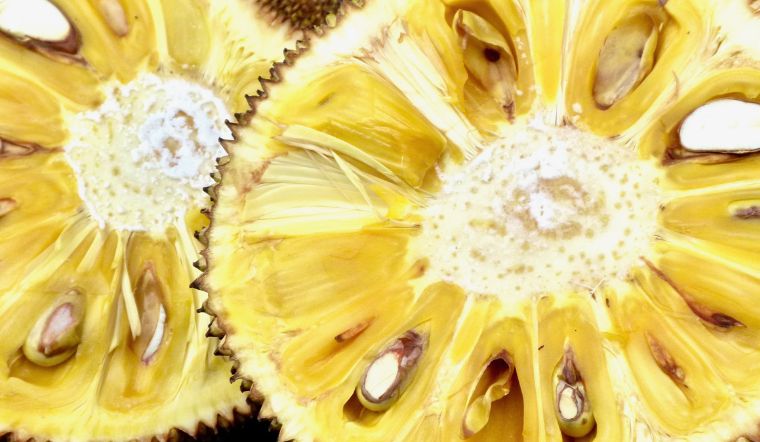 Giá mít Thái hôm nay 30/03/2023: Giảm 3.000đ/kg so với hôm qua