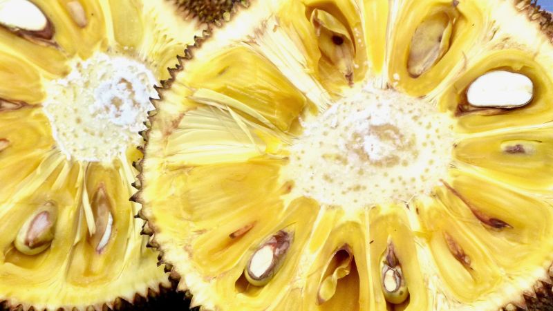 Nguyên nhân giá mít bất ngờ giảm