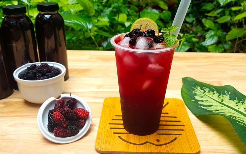 How to make sweet mulberry tea, cool down on a hot day