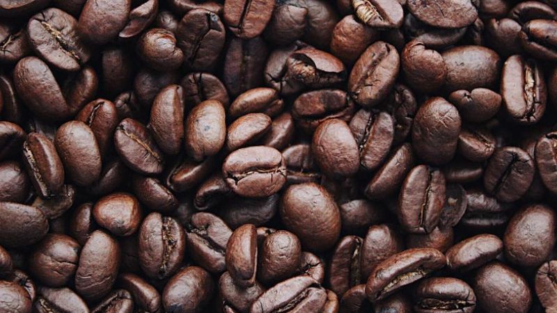Giá cà phê trong nước hôm nay Giá cà phê trong nước hôm nay