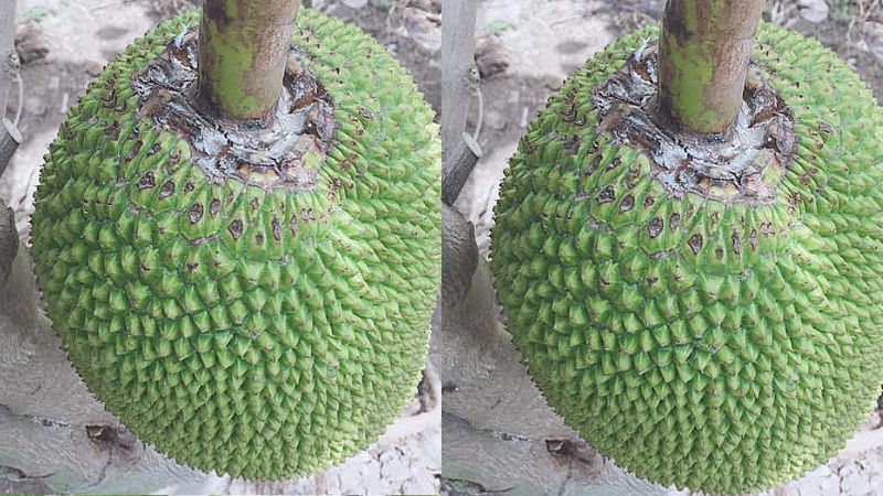 Mít nhứt mầu như thế nào vựa sẽ không mua?