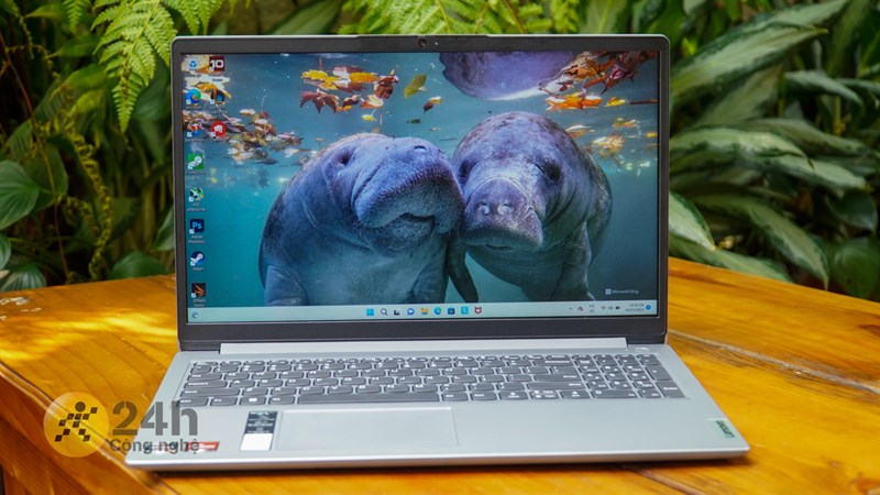 Laptop Lenovo IdeaPad 1 15AMN7 (82VG0061VN) - laptop văn phòng nên mua