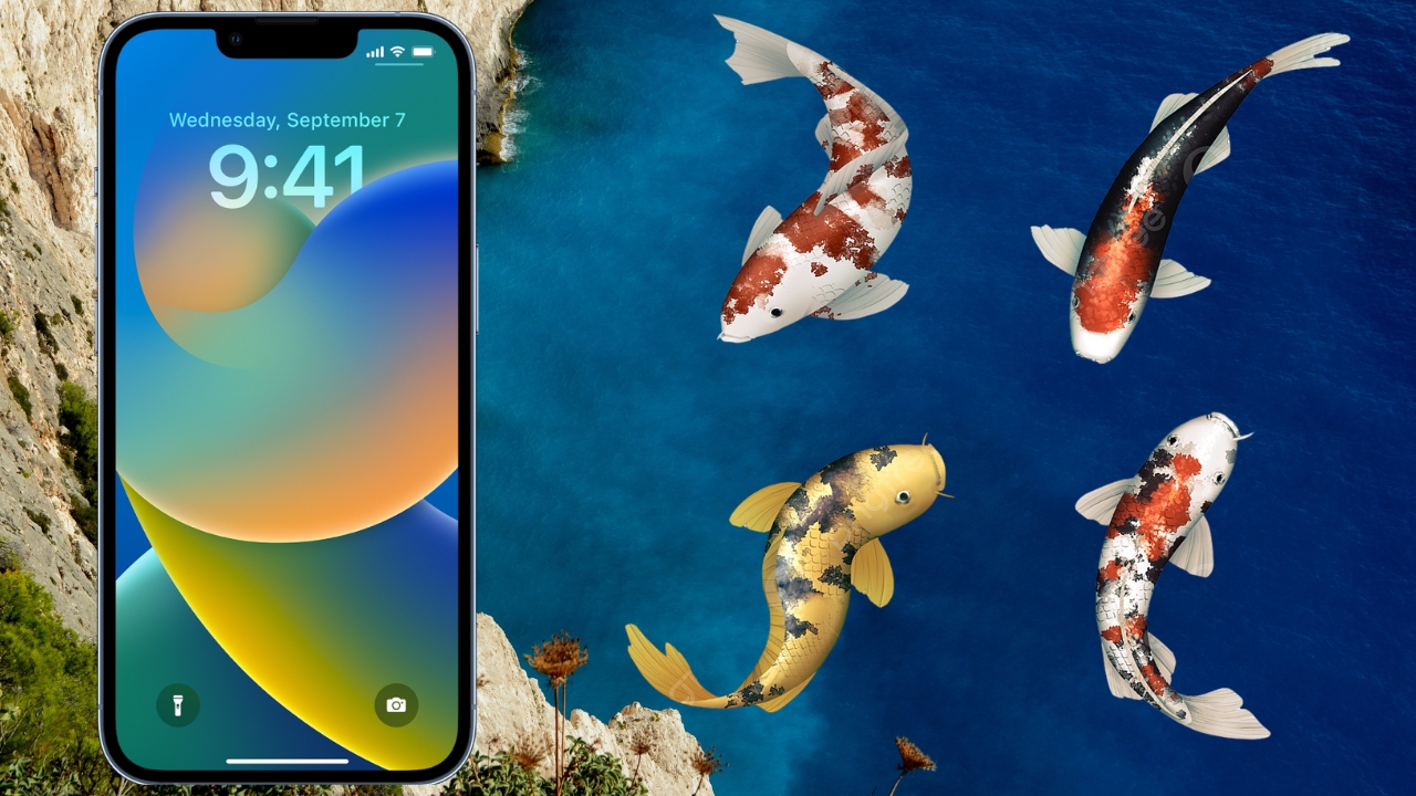 Hình nền cá Koi cho iPhone chất lượng 4K, thu hút năng lượng tích cực