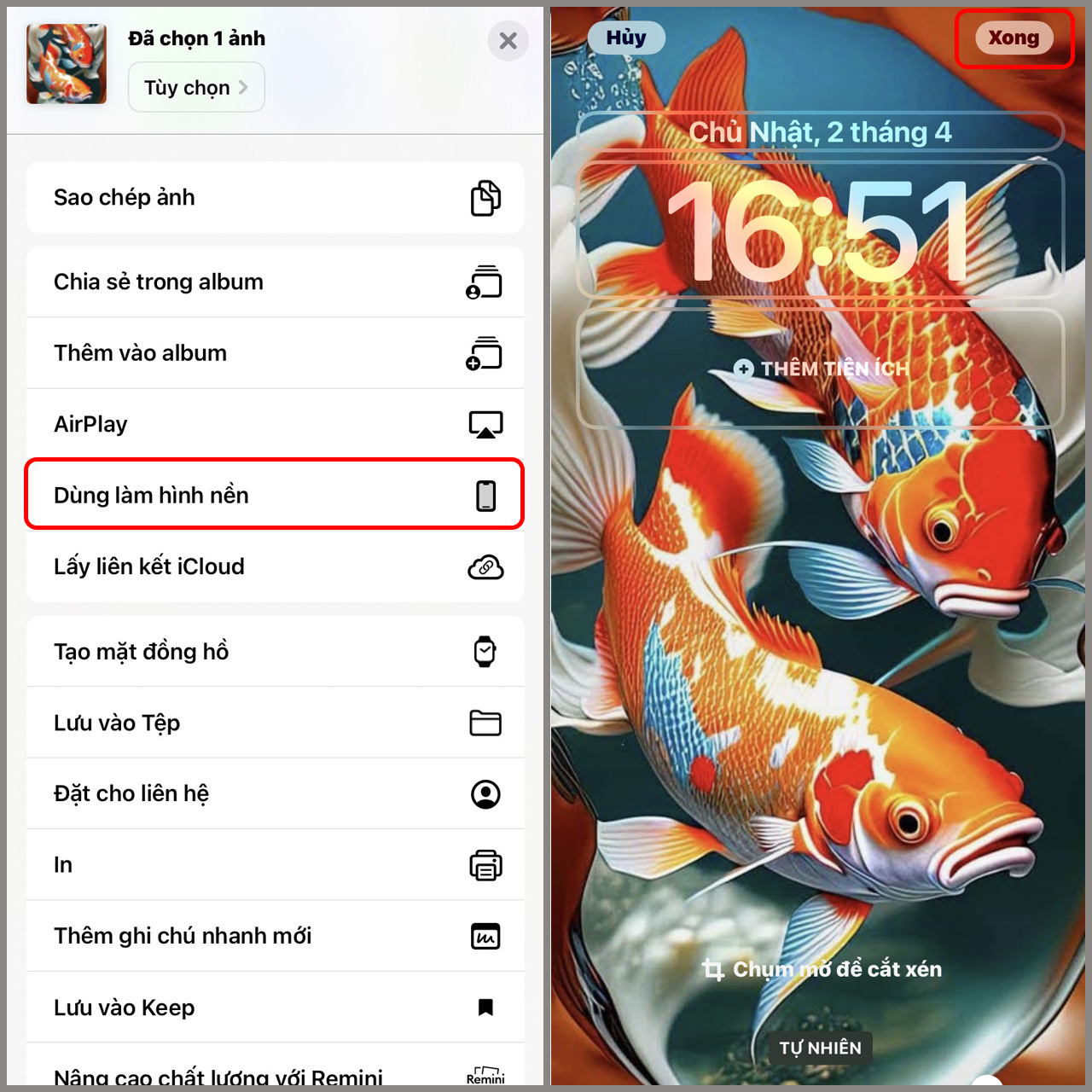 Ứng dụng Koi Free Live Wallpaper- Hình động cá Koi | Link tải, cách sử  dụng, mẹo thủ thuật