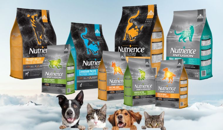 Thương hiệu Nutrience có những loại thức ăn cho chó mèo nào?