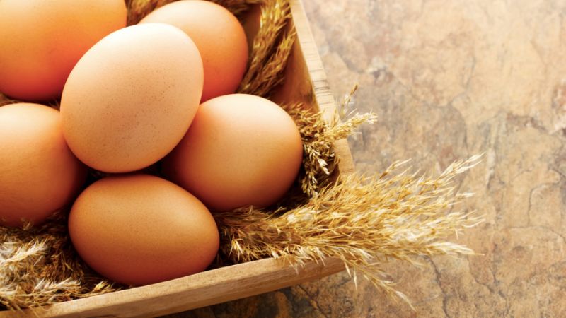 Trứng giàu protein và chất béo có lợi
