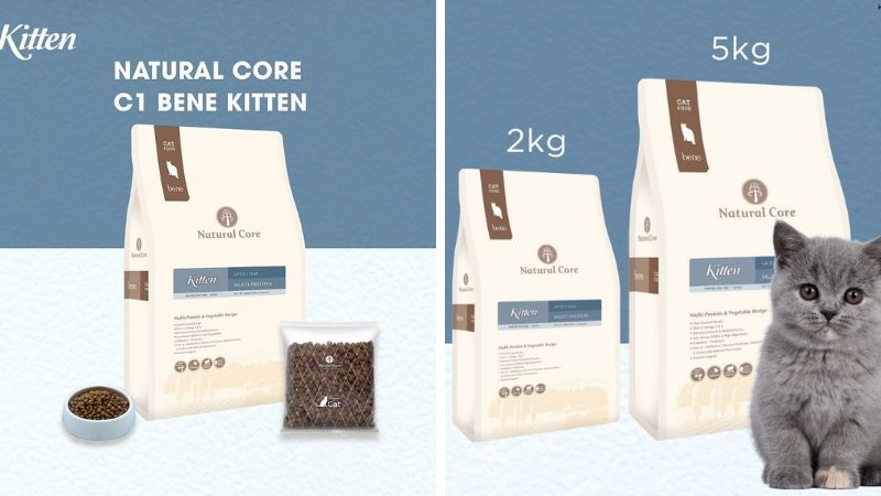 Hạt mèo con Natural Core C1 Bene Kitten
