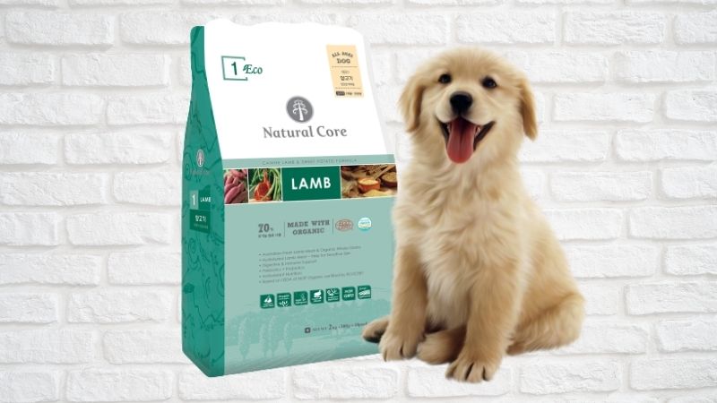 Thức ăn cho chó Natural Core Eco1 vị thịt cừu