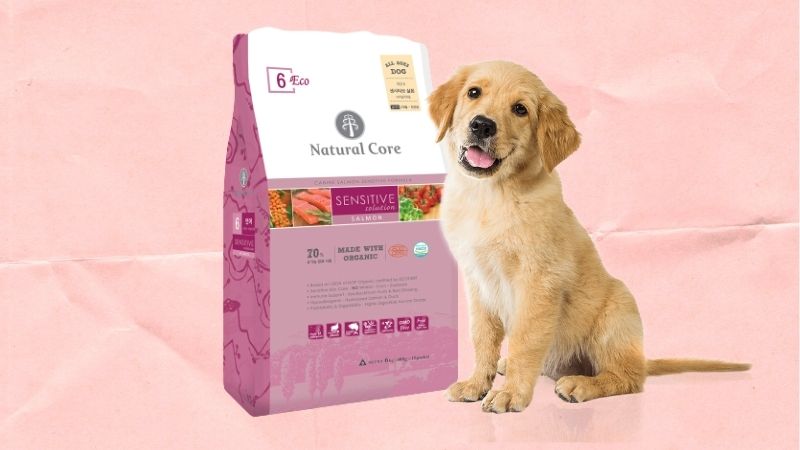 Thức ăn cho chó Natural Core Eco6 vị cá hồi