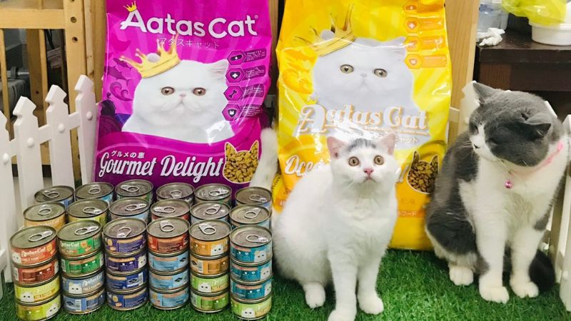 Cách phân biệt sản phẩm Aatas Cat thật giả