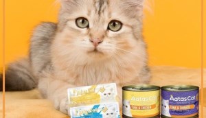 Review các loại sản phẩm từ thương hiệu Aatas Cat có tốt không?
