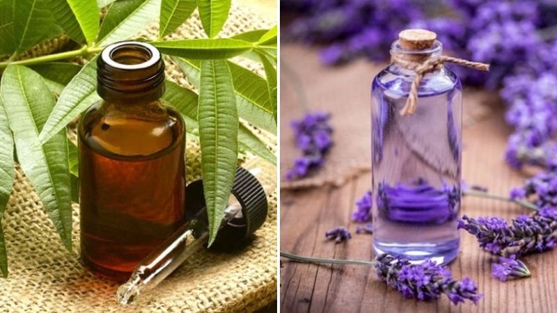 Use tea tree oil and lavender oil to treat raised scars