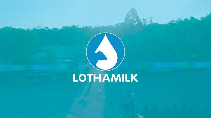 LOTHAMILK đang dần khẳng định vị thế hàng đầu trong lĩnh vực cung cấp sữa tươi nguyên chất tại Việt Nam