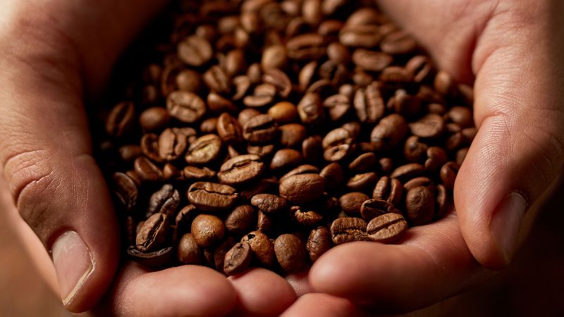 Giá cà phê trong nước hôm nay Giá cà phê trong nước hôm nay