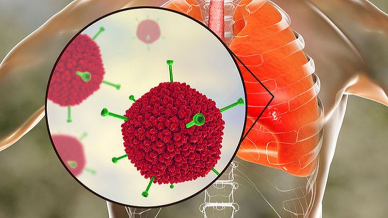 Thông tin về Adenovirus