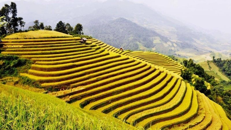 Du lịch Hoàng Su Phì (Hà Giang): 5 địa điểm du lịch hấp dẫn nhất