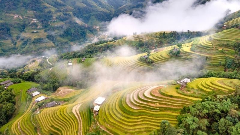 Ruộng Bậc Thang Hoàng Su Phì