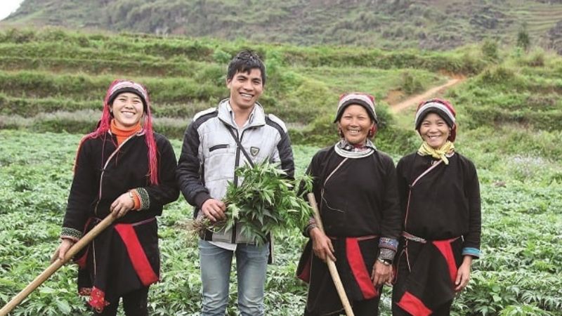 Làng văn hóa dân tộc Dao thôn Lùng Tao - Cao Bồ