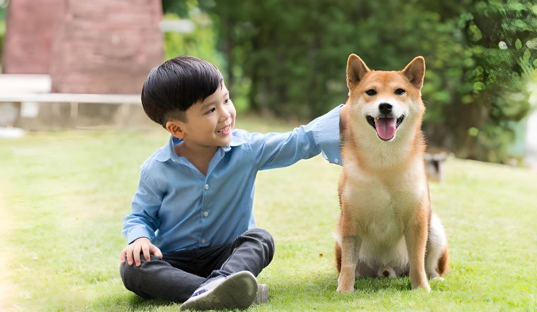 Làm gì để trẻ và thú cưng chơi cùng nhau an toàn?