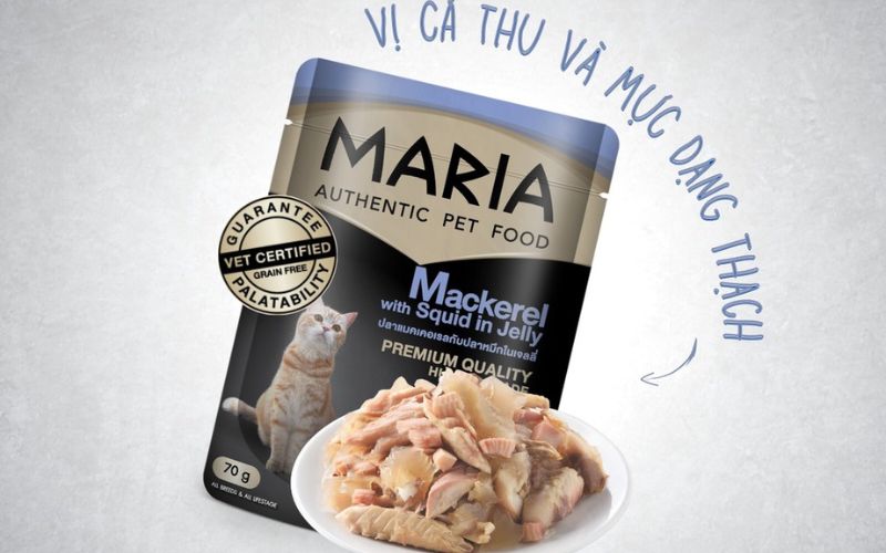 Một số câu hỏi thường gặp về pate cho mèo Maria