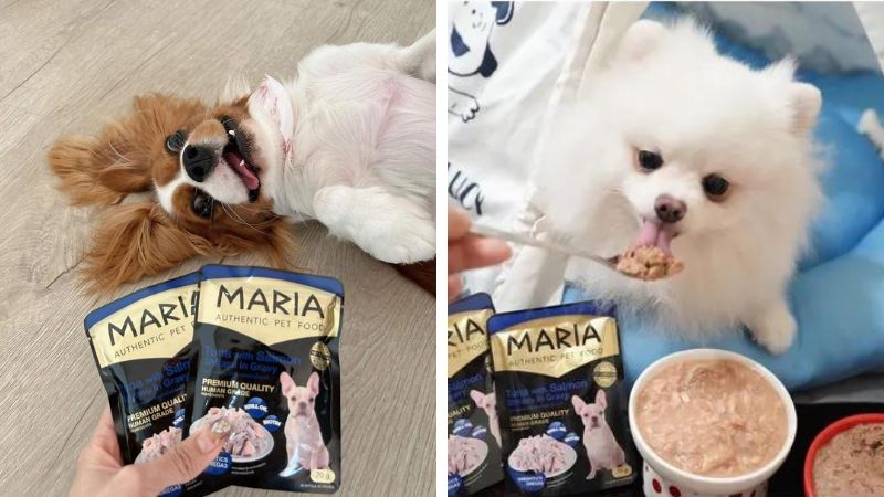 Cách phân biệt pate cho chó Maria thật giả?