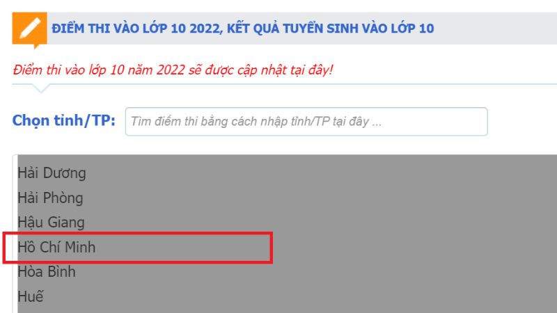 Checking the exam scores for grade 10 in 2023 in Ho Chi Minh City through the recruitment channel