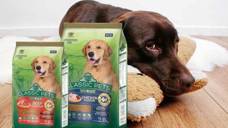 Top 3 seeds for Classic Pet dogs with good quality, good price today