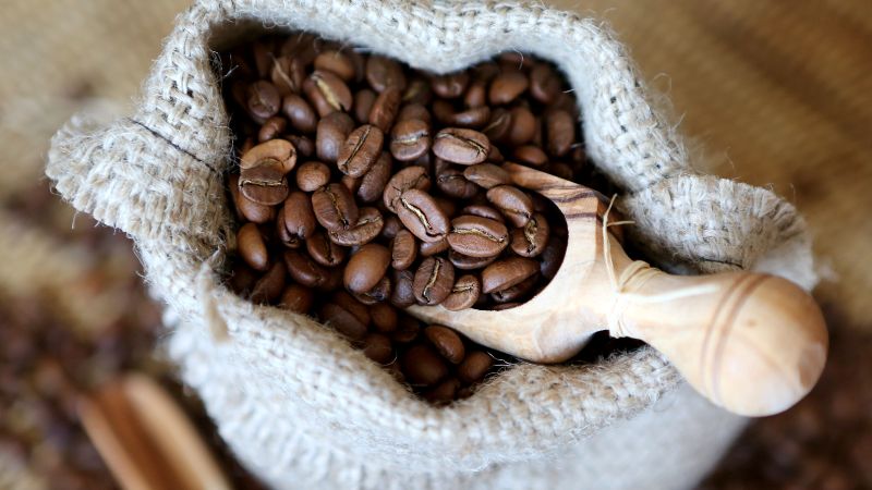 Giá cà phê trong nước hôm nay Giá cà phê trong nước hôm nay