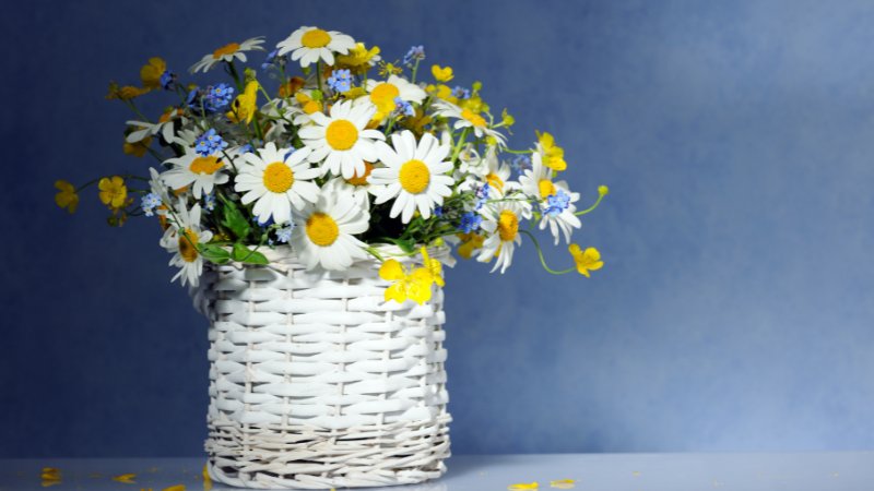 Daisy bird of paradise flower basket