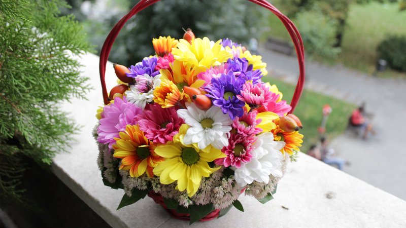 Lovely flower basket