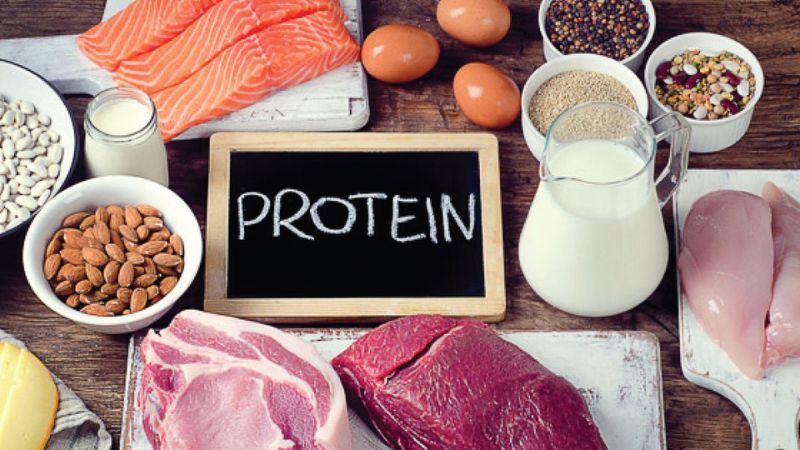 Không nên cung cấp quá nhiều protein