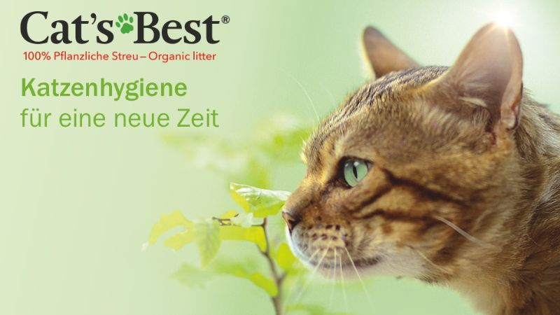 Giới thiệu về chăm sóc sức khỏe chó mèo Cat's Best