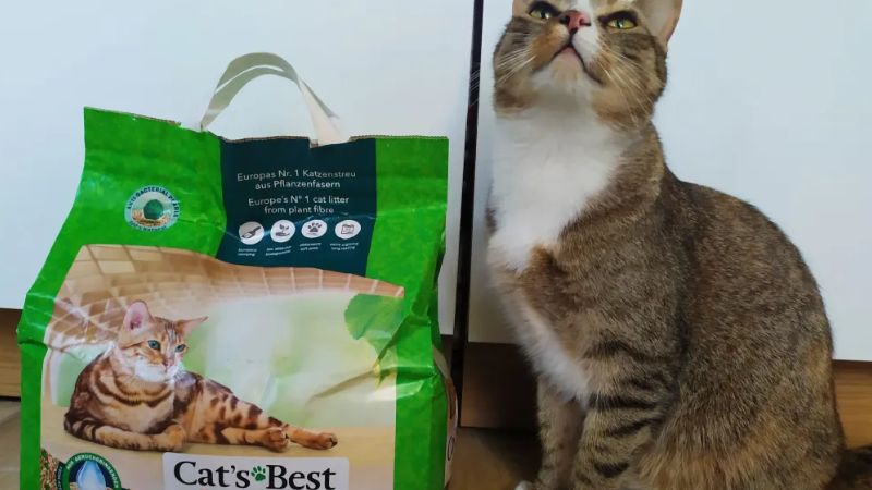 Lợi ích của cát vệ sinh cho mèo Cat's Best