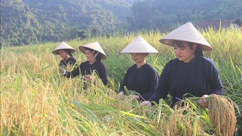 Lưu ngay 6 địa điểm du lịch Quảng Hoà (Cao Bằng) cho người mới