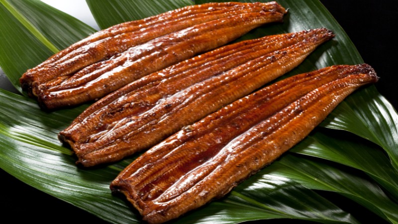 Lươn