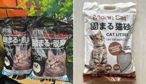 Top 2 cát vệ sinh cho mèo Nhật đen Moon Cat chất lượng trên thị trường