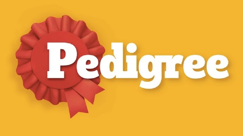 Giới thiệu về thương hiệu thức ăn vặt cho chó Pedigree Giới thiệu về thương hiệu thức ăn vặt cho chó Pedigree