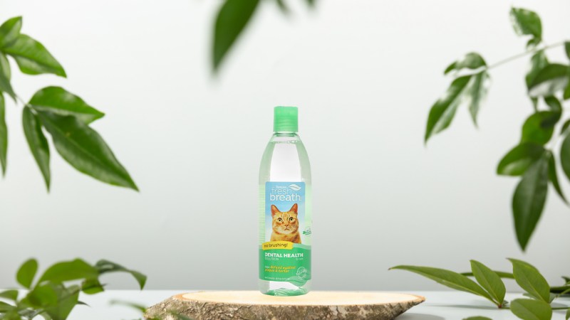 Nước vệ sinh răng miệng cho mèo Tropiclean chai 473ml