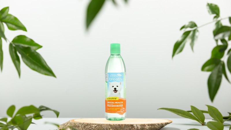 Nước vệ sinh răng miệng cho chó bổ sung chức năng hỗ trợ đẹp lông da Tropiclean chai 473ml