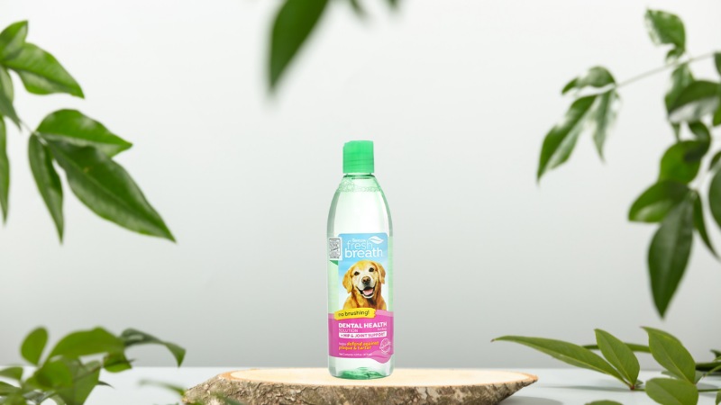 Nước vệ sinh răng miệng cho chó bổ sung chức năng hỗ trợ xương khớp Tropiclean chai 473ml