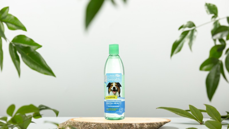 Nước vệ sinh răng miệng cho chó giúp trắng răng Tropiclean chai 473ml