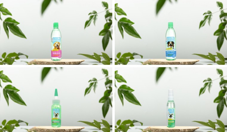 Top 10 vệ sinh răng miệng Tropiclean được yêu thích hiện nay