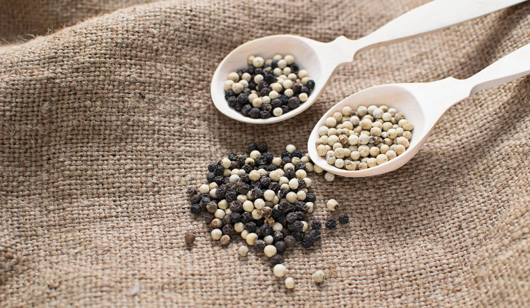 Giá tiêu hôm nay 21/4/2023: Tăng ngày thứ 2 liên tiếp