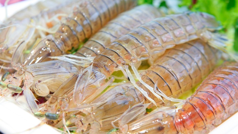 Chameleon shrimp can cost several million VND/kg