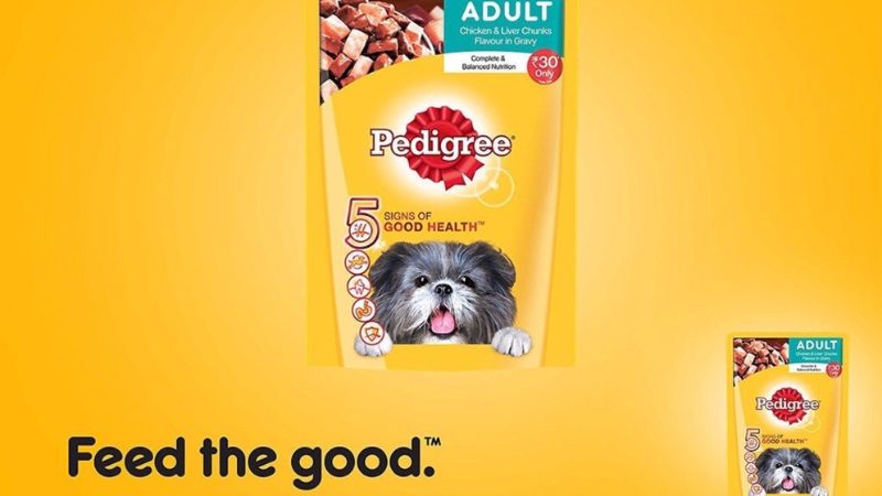 Lợi ích của sốt dinh dưỡng cho chó Pedigree