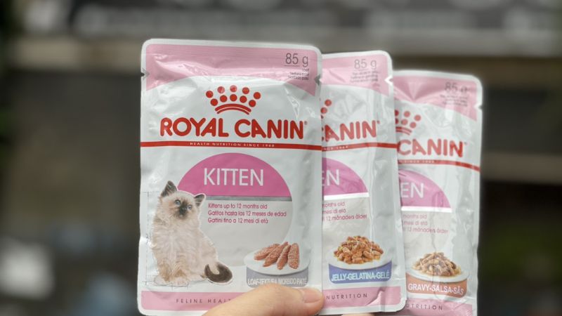 Top 8 delicious, nutritious, and best Royal Canin cat pates today