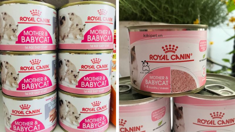 Pate cho mèo Royal Canin Mother & Baby Cat