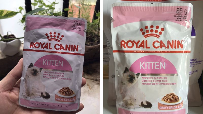 Pate mèo Royal Canin Kitten Gravy