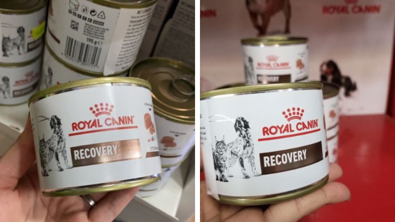 Pate Royal Canin Recovery